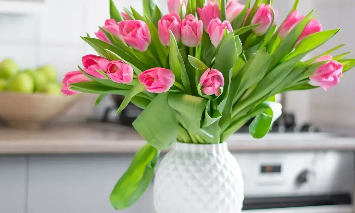 Piękny bukiet różowych tulipanów w białym wazonie. Dowiedz się, jak ułożyć tulipany w wazonie, by cieszyć się ich urokiem.