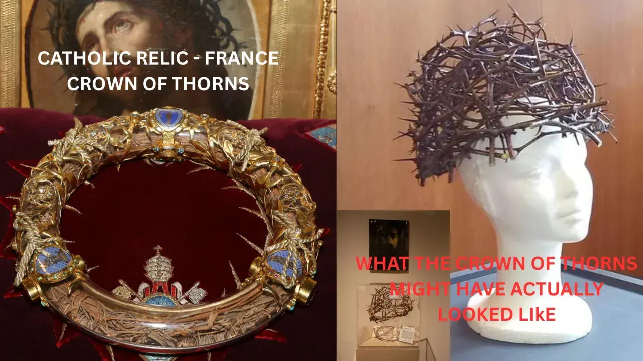 Relikwia Korony Cierniowej z Francji. Czy kwiat korona cierniowa przynosi pecha? Obok rekonstrukcja.