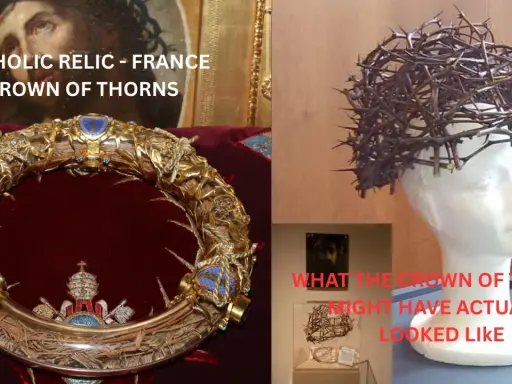 Relikwia Korony Cierniowej z Francji. Czy kwiat korona cierniowa przynosi pecha? Obok rekonstrukcja.