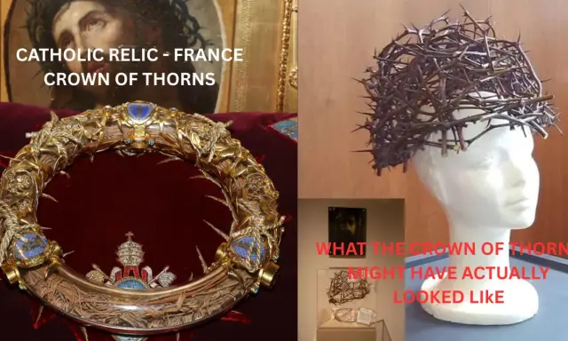 Relikwia Korony Cierniowej z Francji. Czy kwiat korona cierniowa przynosi pecha? Obok rekonstrukcja.